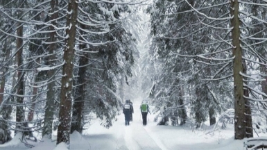 Фото наших Странников