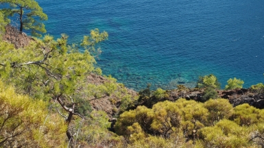 Фото: s_wh, visualhunt.com