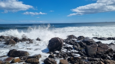 Фото нашей Странницы Ольги Сладковой