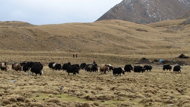 Фото: mckaysavage on Visualhunt