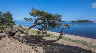 Фото нашего гида Михаила Верёвченко