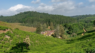 Фото: Ninara31, visualhunt.com