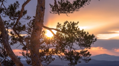 Фото: Pawel Maryanov, visualhunt.com