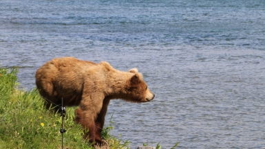 Фото нашего Странника Николая Савичева