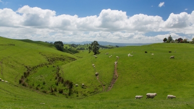 Фото нашей Странницы Татьяны Руновой