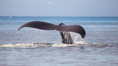 Фото из архива Клуба