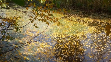 Фото нашего гида Ирины Пряничниковой