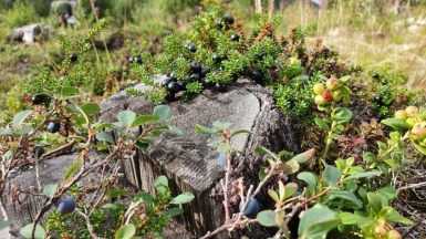 Фото наших Странников