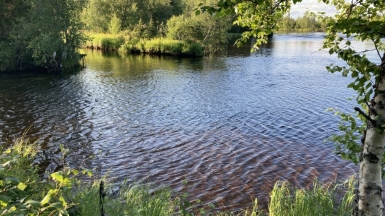 Фото нашей Странницы Татьяны Ладыкиной