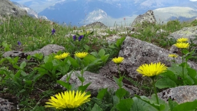 Фото нашей Странницы Веры Елькиной