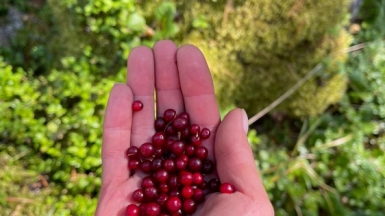 Фото наших Странников