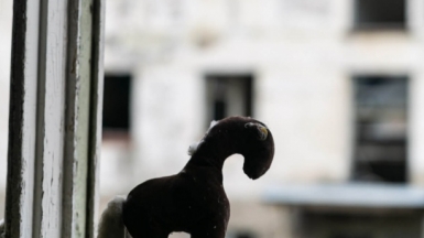 Фото: Михаил Местников