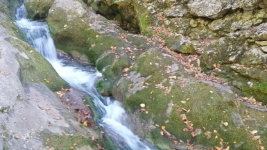 Фото нашего гида Галины Шелудько