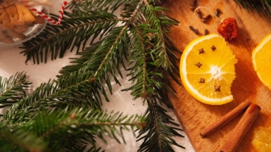 Фото: alicja gancarz on unsplash