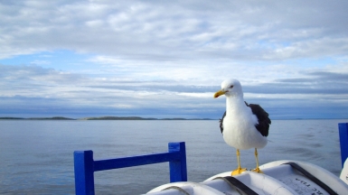 Фото: Aliona Boico, visualhunt.com