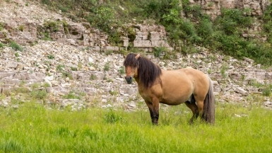 Фото нашего гида Михаила Верёвченко
