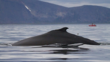 Фото из архива Клуба