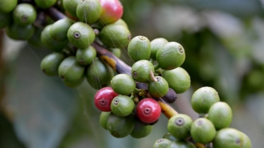 Фото: Prof. Mortel, visualhunt.com