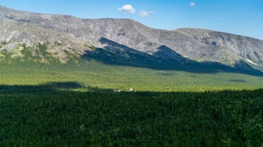 Фото: vlad ion on unsplash