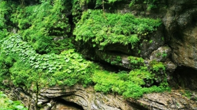 Фото из архива Странника