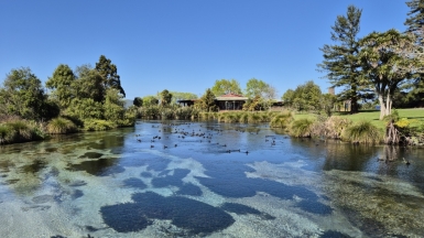 Фото: JustGoThere.NZ