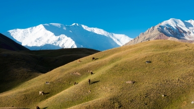 Фото: depositphotos