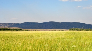 Фото: Anastasia Nelen on unsplash