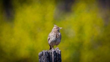 Фото нашего гида Михаила Верёвченко