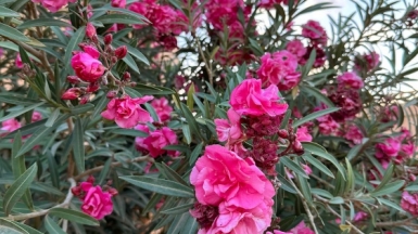 Фото нашей Странницы Виктории Малюк