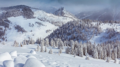 Фото: unsplash.com