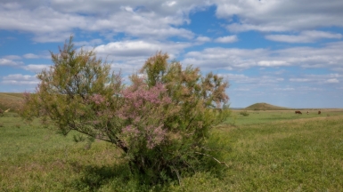 Фото нашего гида Михаила Верёвченко
