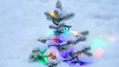 Фото: Evie Fjord, unsplash.com