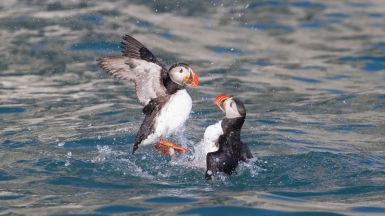 Фото из архива