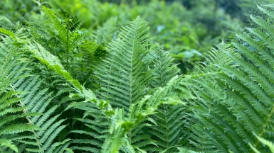 Фото нашего гида Натальи Герасимовой
