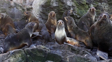 Фото из архива Клуба