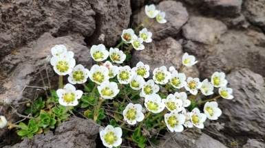 Фото нашего гида Евгении Скопиной