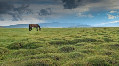 Фото нашей Странницы Марины Шумаковой