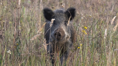 Фото гида Михаила Верёвченко