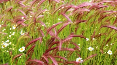 Фото нашей Странница Юлии Цветковой