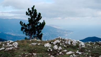 Фото: nsavch, visualhunt.com