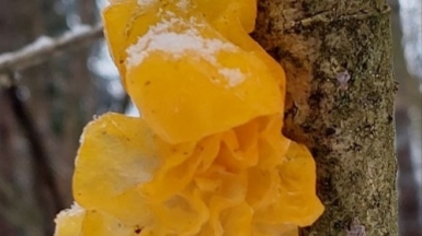 Фото нашего гида Александра Чудновского