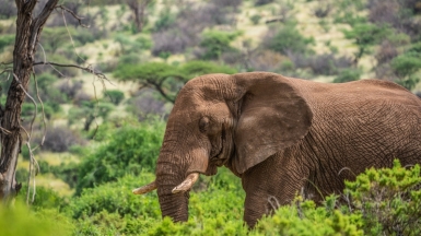 Фото: Photos By Beks, unsplash.com