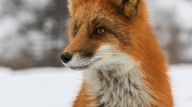 Фото: Михаил Местников