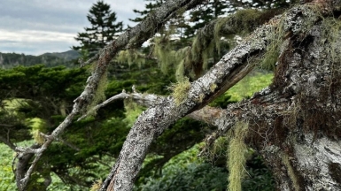 Фото наших Странников