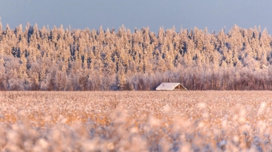 Фото из архивов Клуба