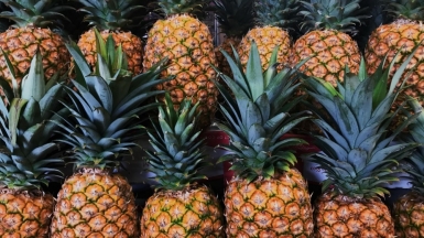 Фото: Juno Jo, unsplash.com