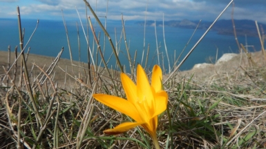Фото нашего гида Романа Приймака