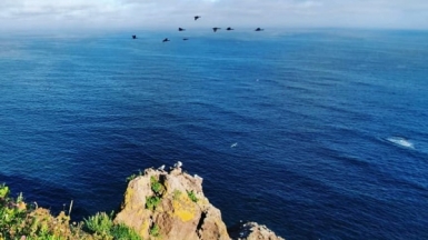 Фото нашего гида Евгении Скопиной