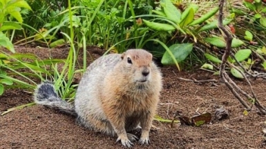 Фото нашей Странницы Татьяны Коршунович