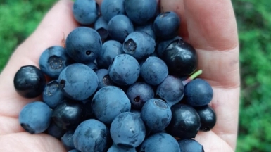 Фото нашей Странницы Аиды Давлетшиной